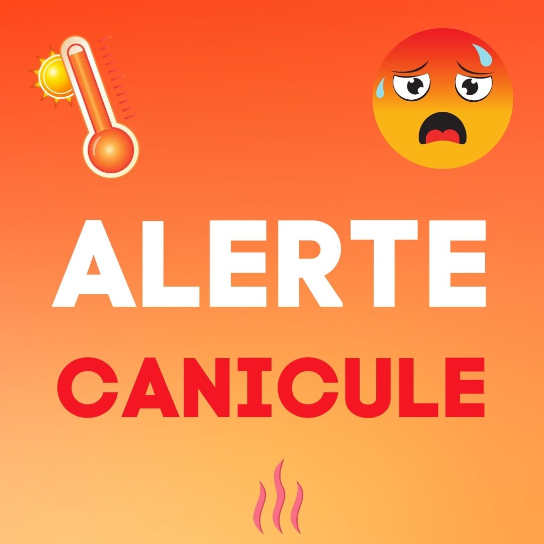 canicule